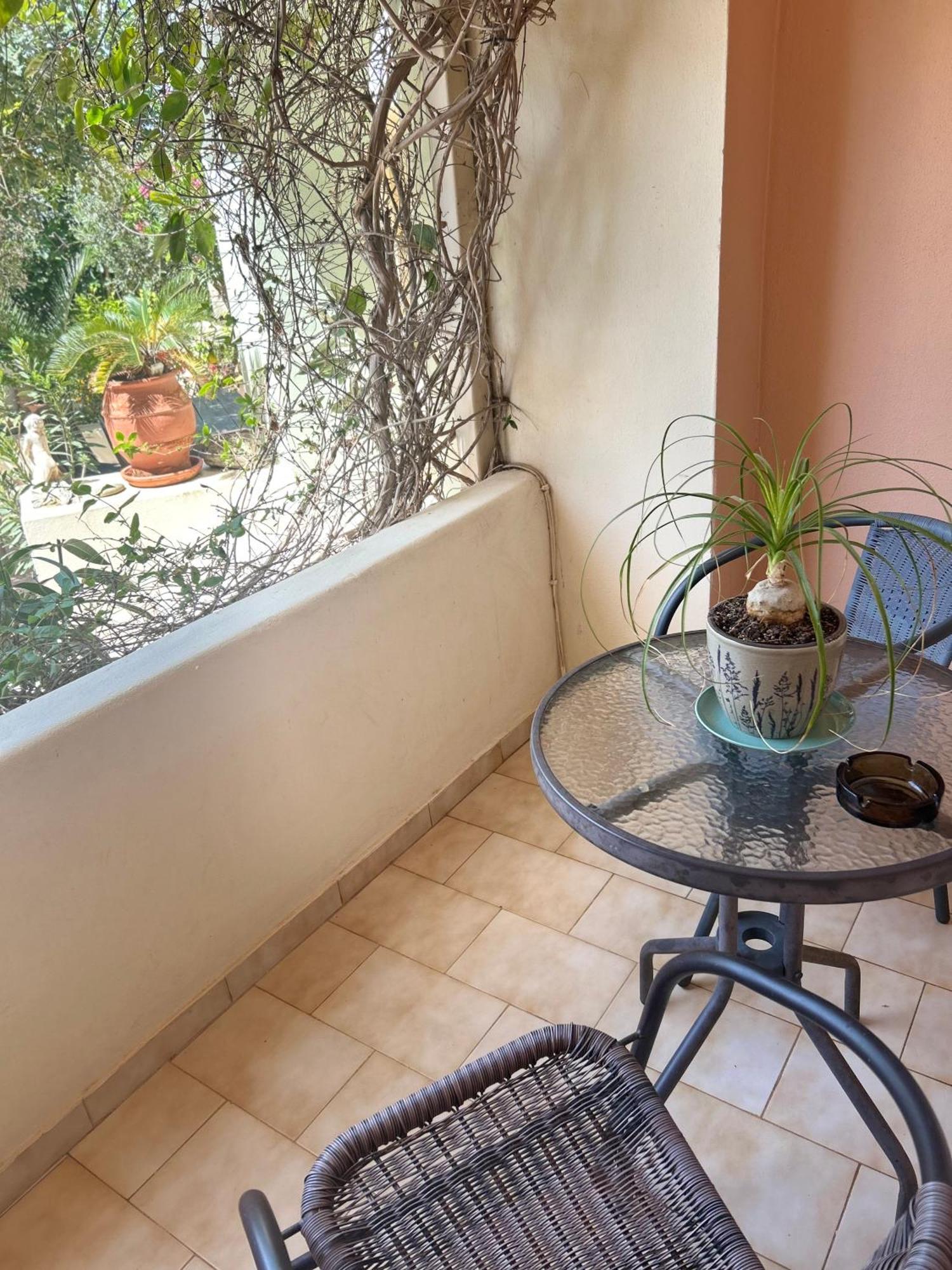 Esperia Apartments Platanias Extérieur photo